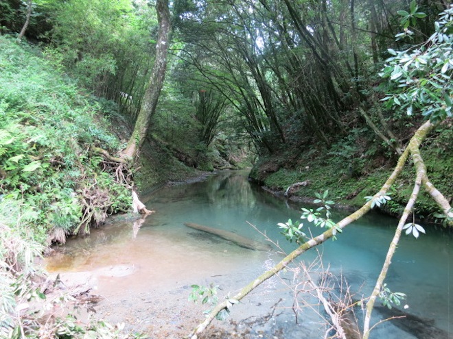 大出水の湧水12.JPG