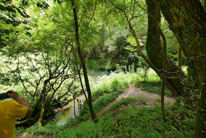 湧水　全景　晴れ.JPG