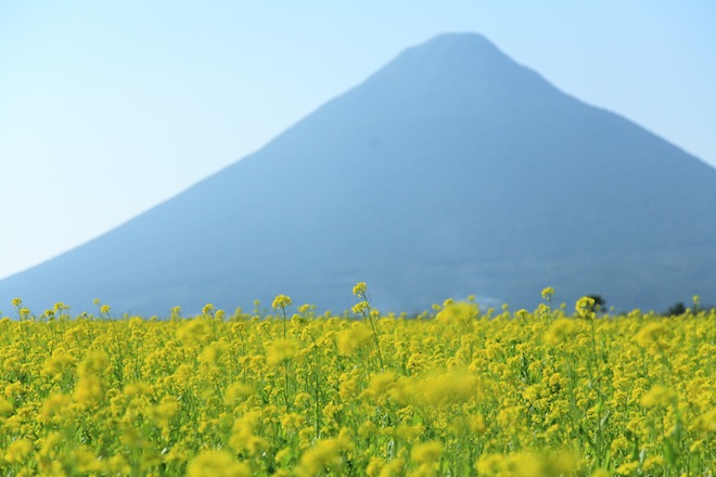 開聞岳8.JPG