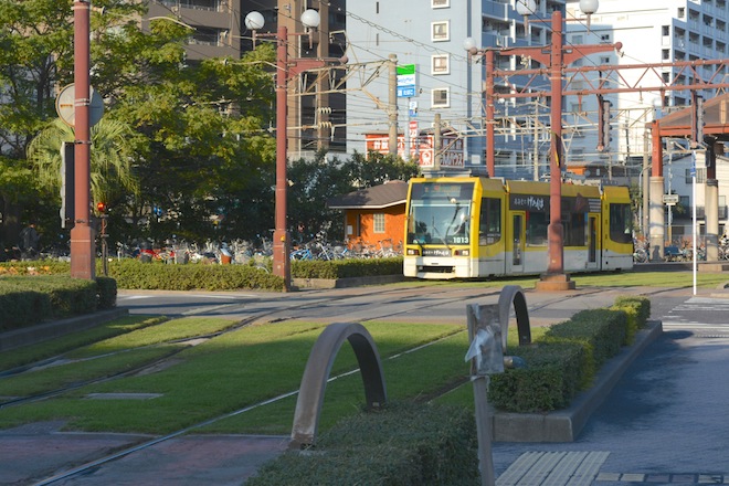 DSC_4902.jpg