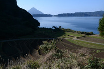新永吉の棚田