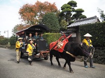 出水麓武家屋敷群