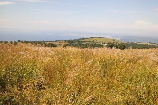 kitunegaoka1.JPG