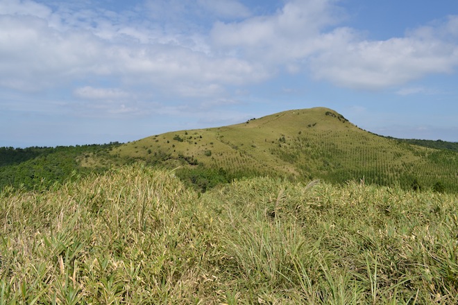 kitunegaoka2.JPG