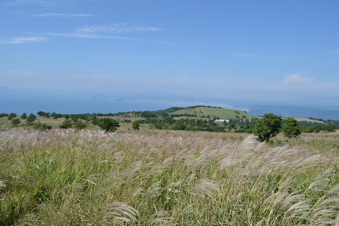 kitunegaoka3.JPG