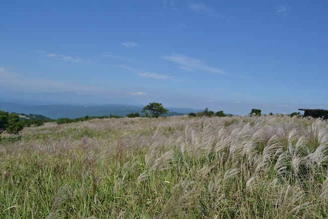 kitunegaoka4.JPG