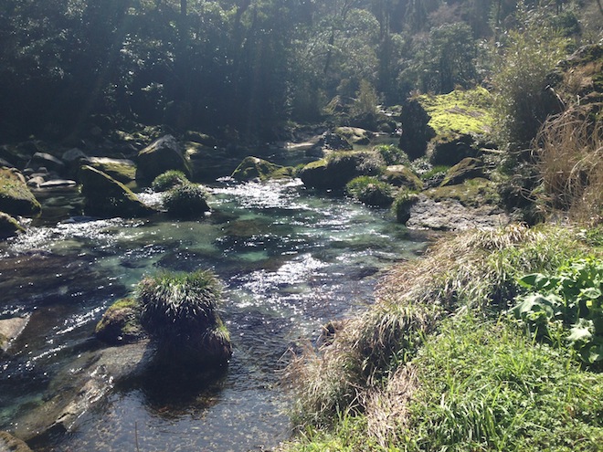 ogawa04.JPG