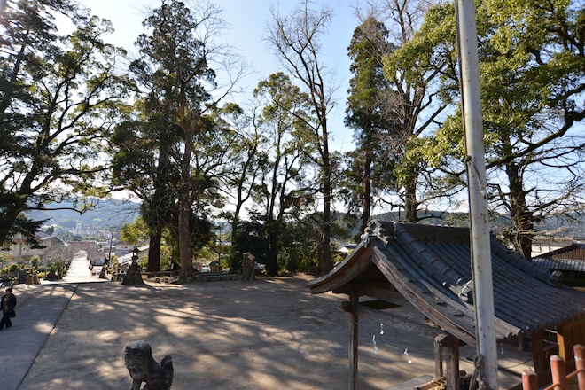 ookusu05.JPG
