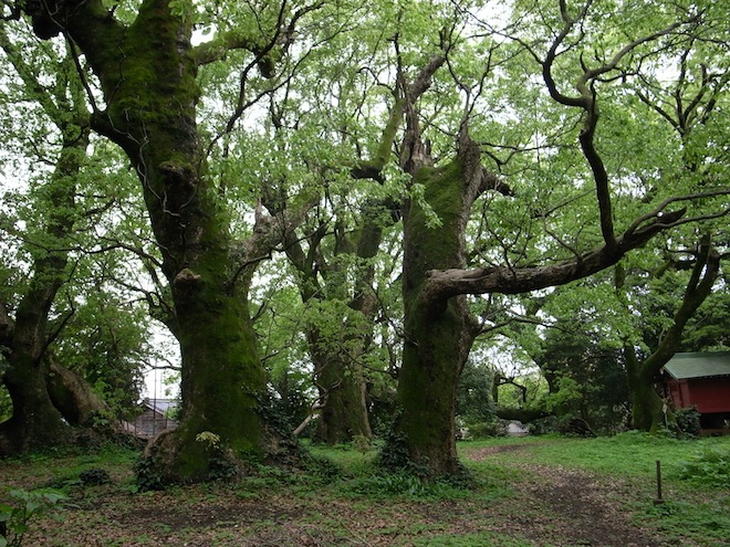 senbon05.JPG