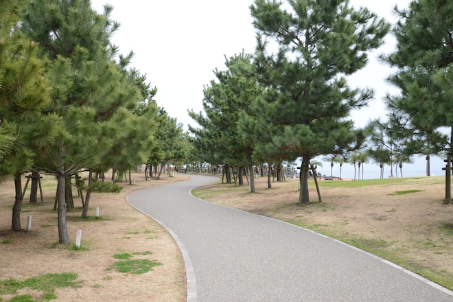 marin03.JPG