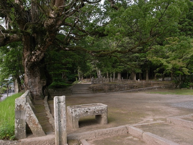 takeda03.JPG