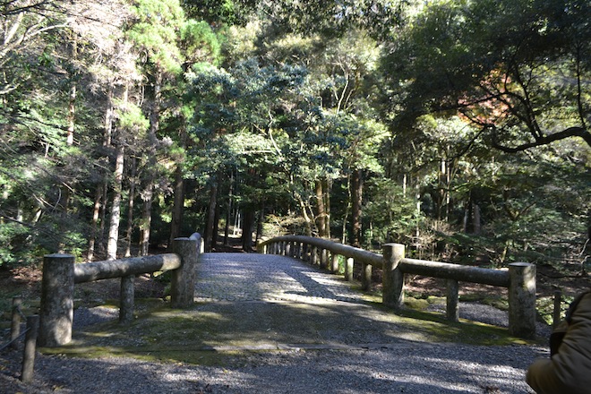 吾平山稜2.JPG