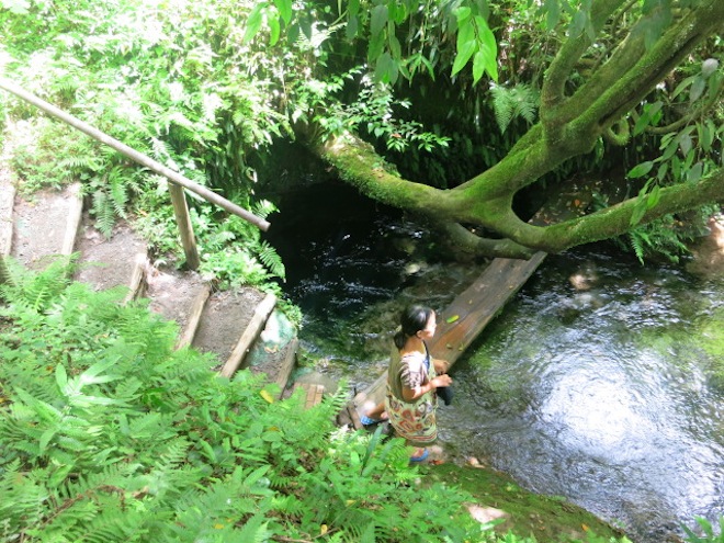 大出水の湧水6.JPG