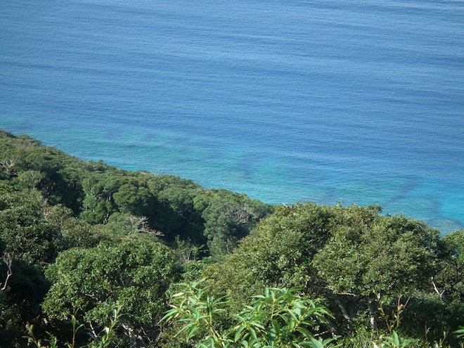 実久海岸３.jpg